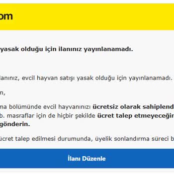 Ücretsiz Köpek Sahiplendirme İlanı Satış İddiası İle Engellendi