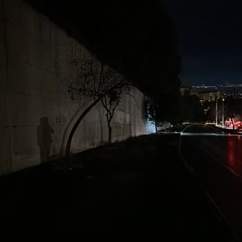 Sokak Aydınlatması Çalışmıyor, Gediz Elektrik Kişisel Verileri Paylaşıyor