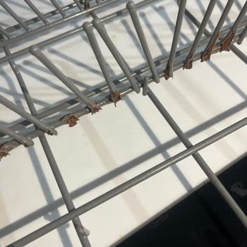 Teka DW605 S Dishwasher Lower Rack Rusting Severely