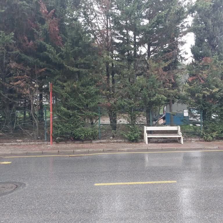 İETT Bizimevler Durağında Yağmur Koruması Olmayan Durak Yolcuları Mağdur Ediyor