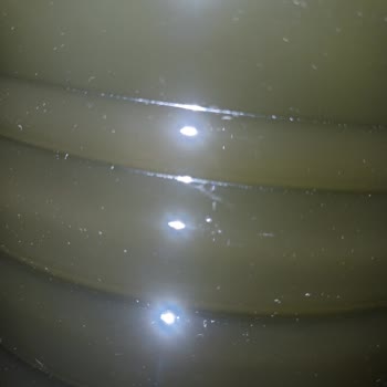 Donmuş Ve Su Katılmış Zeytinyağı İçin Tam Geri Ödeme Talebi