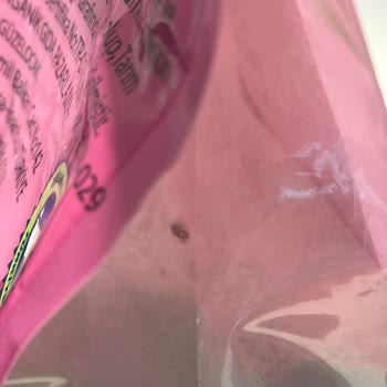 Organik Pirinç Ununda Bebek Ürünü İçin Böcek Kirliliği