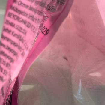 Organik Pirinç Ununda Bebek Ürünü İçin Böcek Kirliliği