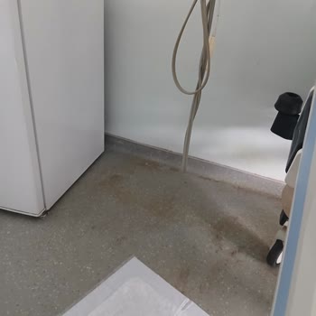 Kahvaltı Protein Eksikliği Ve Oda Temizliğinde Düzensizlik