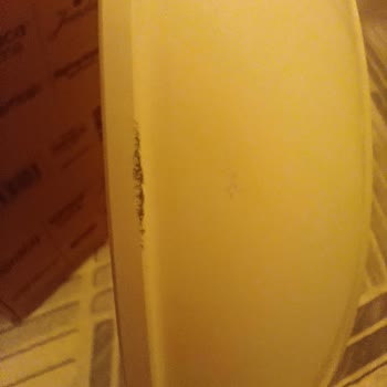 Çizik Ürün, İade Süreci Ve Yorum Yayın Sorunu