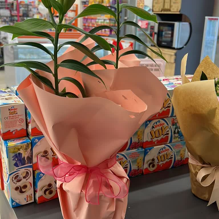 Görseldeki Çiçek Ürünüyle Uyumlu Değil, Eksik Ve Tomurcuk Halinde Teslim Edildi