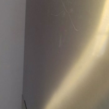 Motor Değişimi Sonrası Ses Ve Çizik Sorunları Nedeniyle Buzdolabı Değişimi Talebi