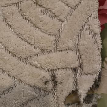 SEG Çamaşır Makinesi Temizlemiyor, Kıyafetleri Yağ Lekesi Ve Yırtıyor; Servis Randevusu Erteleniyor