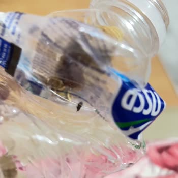 Onlar Kuruyemiş - Balıkesir Aldığım İncirin İçinden Siyah Bir Böcek Çıktı