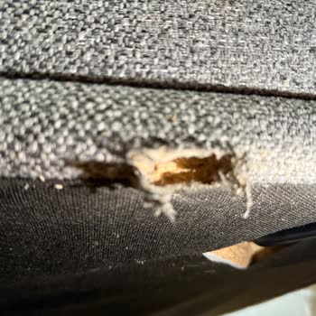 Koltukta Yırtık Ve Çıkan Zımbalar Nedeniyle Ürün Değişimi İstiyorum