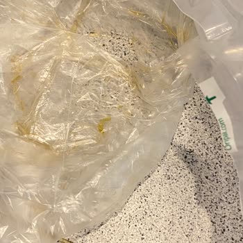 Lahana Turşusu Kavanozu Sızdırdı Ve Müşteri Hizmetleri Yanıt Vermedi