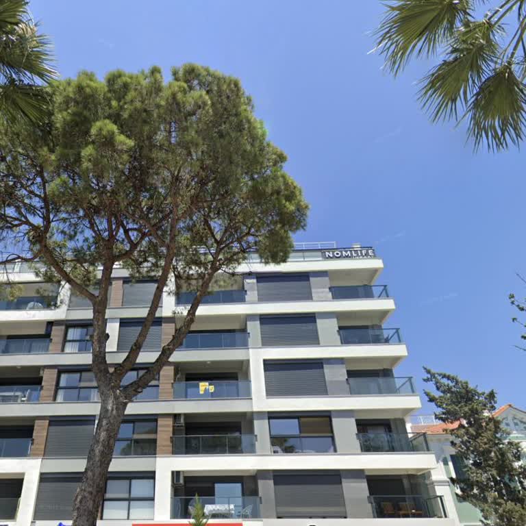 Nomlife İnce İşçilikteki Hatalar