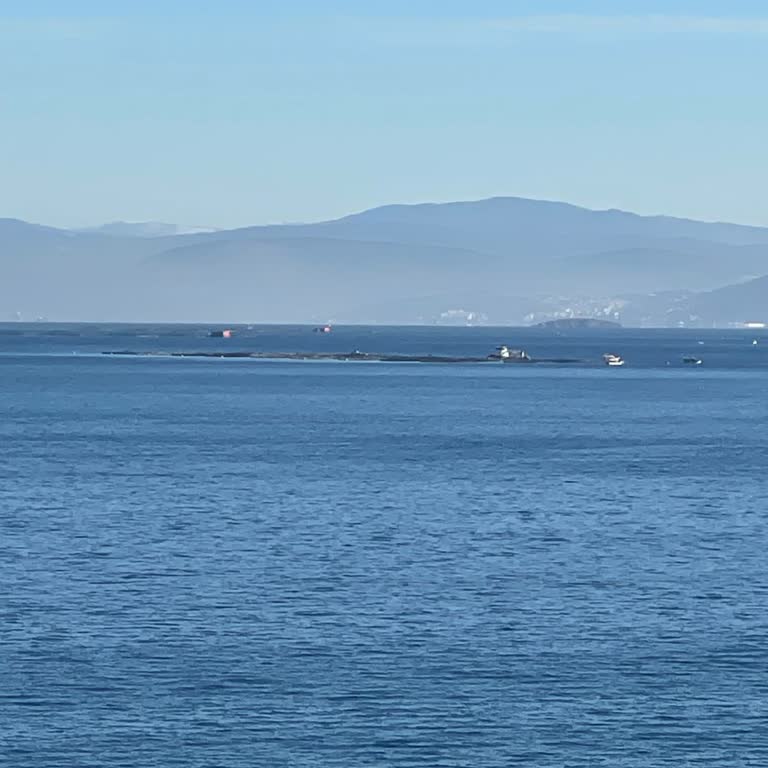 İptal Edilmiş İlan Ücret Kesintisi Ve Negatif Bakiye