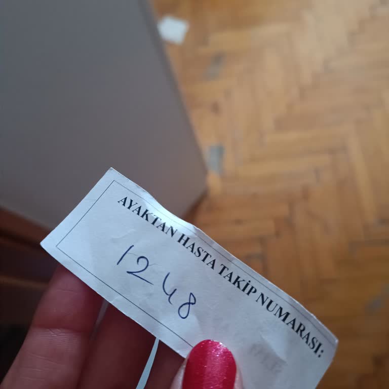 İletişim Ve Bilgilendirme Eksikliği Nedeniyle Sahipsiz Kedinin Ölümüne Sorumluluk Talebi