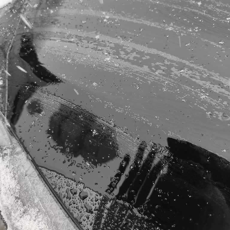 Ford Focus 2020 Boya Çatlaması İçin Garanti İhlali