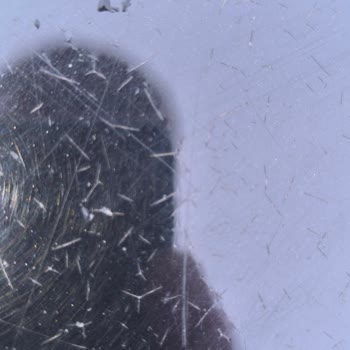 Ford Focus 2020 Boya Çatlaması İçin Garanti İhlali