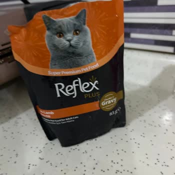 Reflex Plus Kuzu Etli Yaş Mama Jelimsi Kıvam Ve Kötü Koku