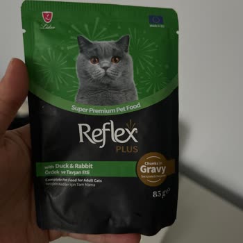 Reflex Plus Kuzu Etli Yaş Mama Jelimsi Kıvam Ve Kötü Koku