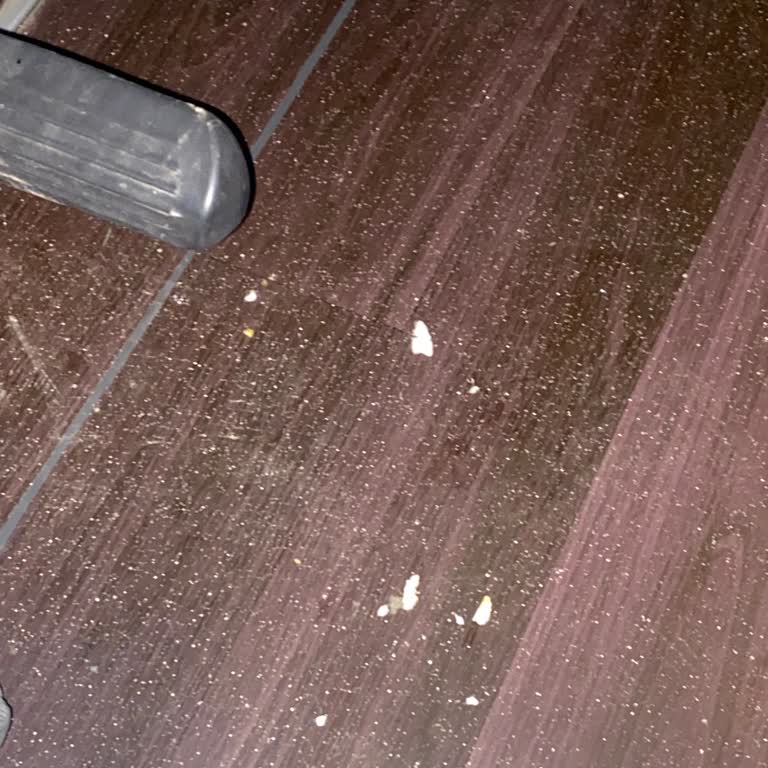 Malatya Medine Turizm Otobüste Hijyen Ve Soğukluk Sorunları