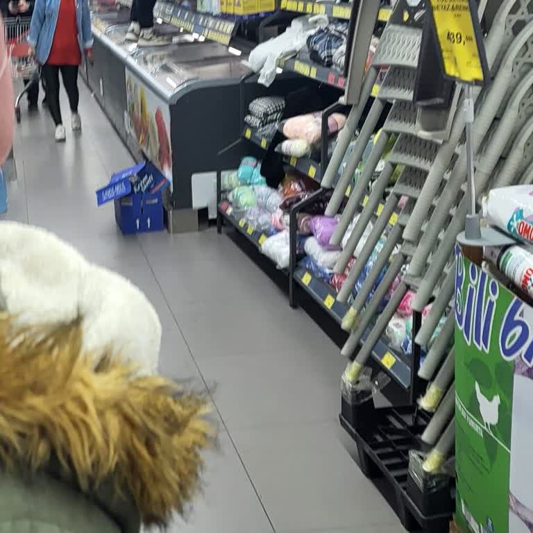 BİM Şubesinde Soğutucu Dolapların Üstüne Çıkan Personel Hijyen Ve İş Güvenliği İhlali