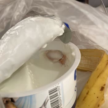 Küflenmiş Yoğurtta Gıda Güvenliği Endişesi