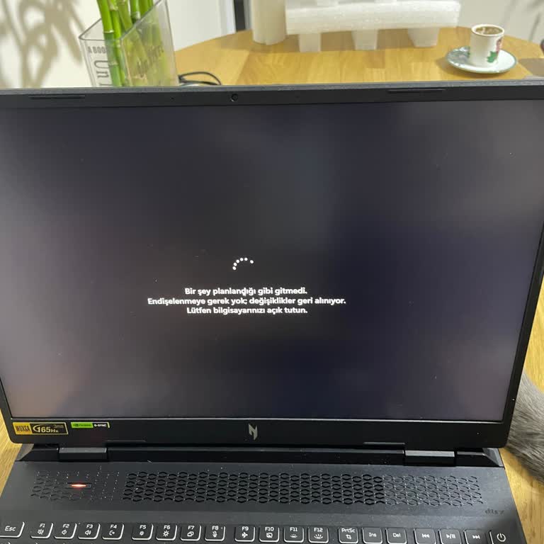 Acer Nitro AN 16 Laptopum Açılmıyor Mavi Ekran Veriyor Ve Servis Çözüm Sunamıyor