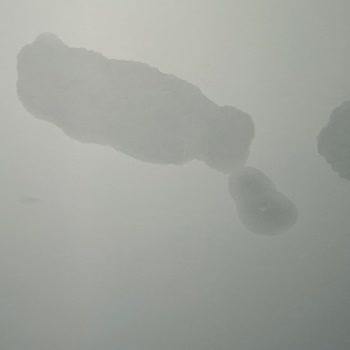 Aydur İnşaat Göztepe TOKİ'de 3 Milyonluk Evde Sürekli Su Sızıntısı Ve Rutubet Sorunu