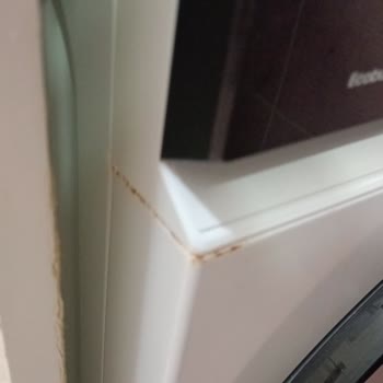 Samsung TR11 Çamaşır Makinesinde Erken Paslanma Ve Ürün Kalitesi Şikayeti