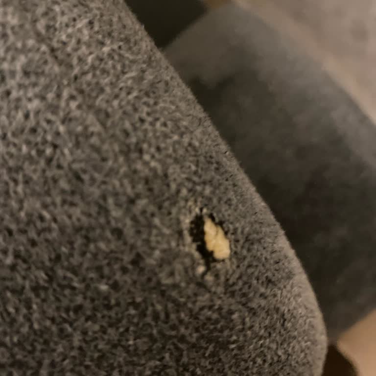 Ayıplı Koltuk Takımında Kumaş Değişiminin Gerçekleşmemesi Ve Tam İade Talebi