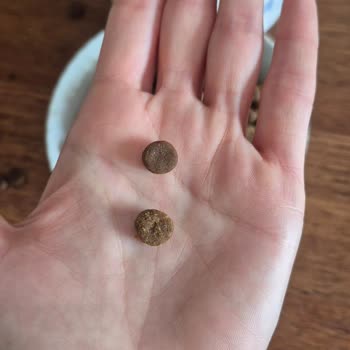 Virbac Digestive Mama Değişikliği Kediler Tarafından Reddedildi