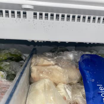 Bosch Kapanıp Açılmayan Buzdolabı Gıdalarımın Çözülmesine Neden Oluyor