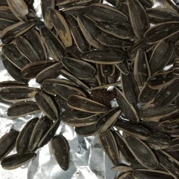 BİM Simbat Çekirdeğinde Yabani Ot Çıktı, Sağlık Riski