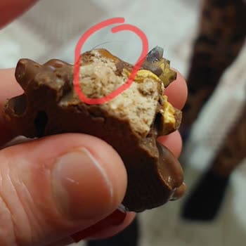 Eti Gıda Eti Canga Çikolatasında Kil Parçası Çıktı