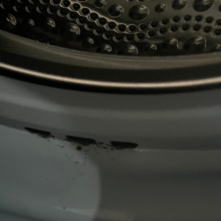 Körük Lastiğinde Sürekli Küflenme Ve Tekrarlayan Arızalar Üzerinden Çamaşır Makinesi Değişimi Talebi