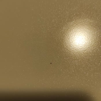 Kaplamadaki Çatlak Noktalar Ve Garanti İhlali Nedeniyle Değişim Talebi