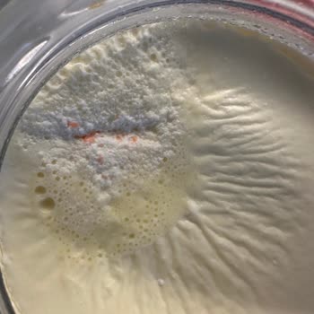 Sürekli Gıda Bozulması Ve Çözüm Bulamayan Buzdolabı İçin İade Talebi