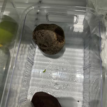 Sürekli Gıda Bozulması Ve Çözüm Bulamayan Buzdolabı İçin İade Talebi