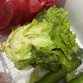 Sürekli Gıda Bozulması Ve Çözüm Bulamayan Buzdolabı İçin İade Talebi