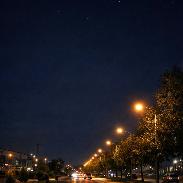 Has Karayolu’nda Gece Yol Kenarında Bırakılma Ve Uzun Yürüyüş Şikayeti