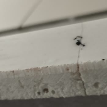 Deprem Konutunda Mutfak Tezgahı Hasarı Ve Oyalama Sorunu