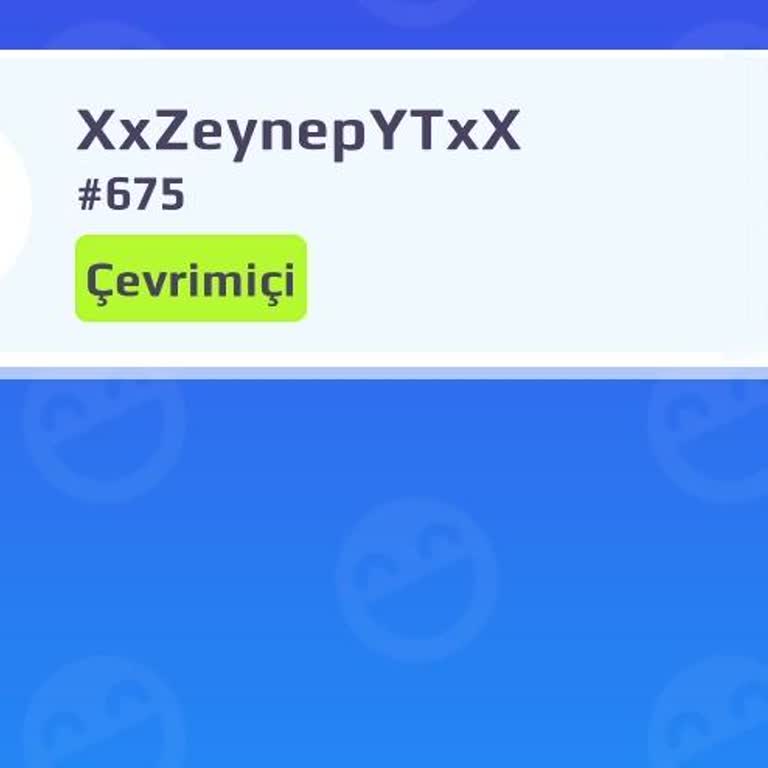 Afterverse Games Hesabım Çalındı, İzinsiz Giriş Ve Petlerim Kayıp