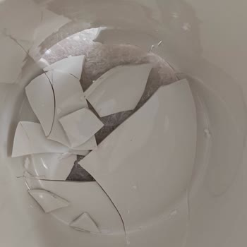 Aras Kargo Vezirköprü Şubesindeki Kırık Teslimatlar Nedeniyle 5.000 TL Zarar