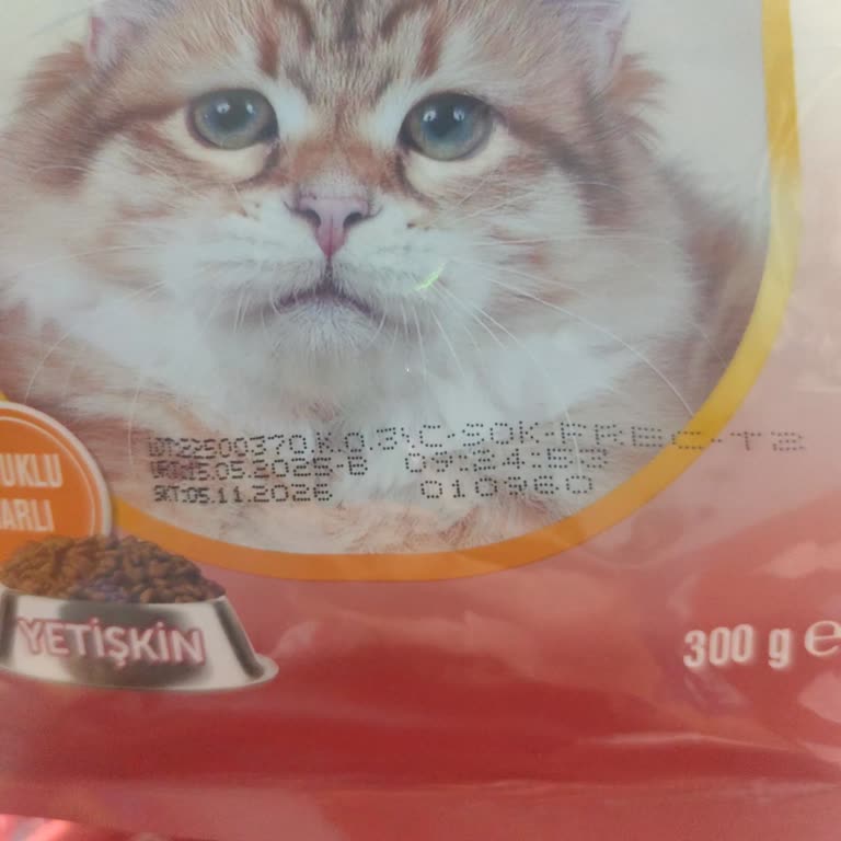 Şok Marketler Free Cat Şikayeti