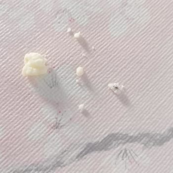 Gusto Gıda Tulum Peynirinde Karınca Bulunması Ve Hijyen Şikayeti