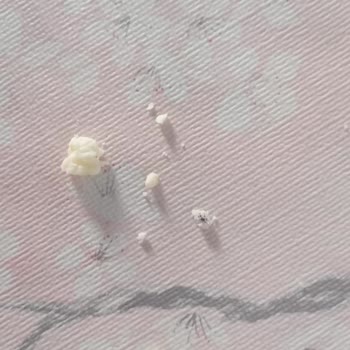 Gusto Gıda Tulum Peynirinde Karınca Bulunması Ve Hijyen Şikayeti