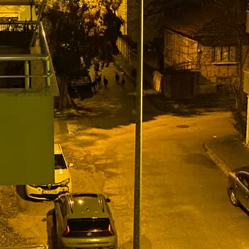 Mithatpaşa Mahallesinde Saldırgan Köpek Sürüleri İçin Acil Müdahale Talebi