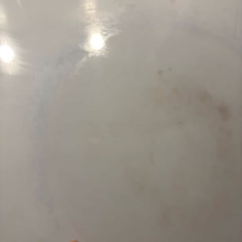 Bosch Elektrikli Ocakta İlk Ayda Yanık Cam ve 10.000 TL Değişim Ücreti