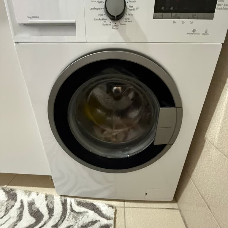 Arçelik Çamaşır Makinesinde Kazanın Paslanması Ve Ücretsiz Onarım İsteği Reddedildi