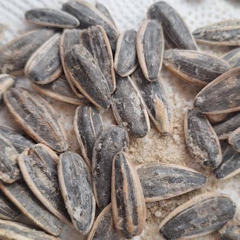 Yanık Çekirdek Paketi Sorunu Müşteri Güvenini Sarsıyor