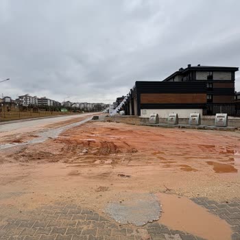 Nevruz Ve Tekinalp Caddelerindeki Çamurlu Yolların Acil Asfaltlanmasını İstiyoruz